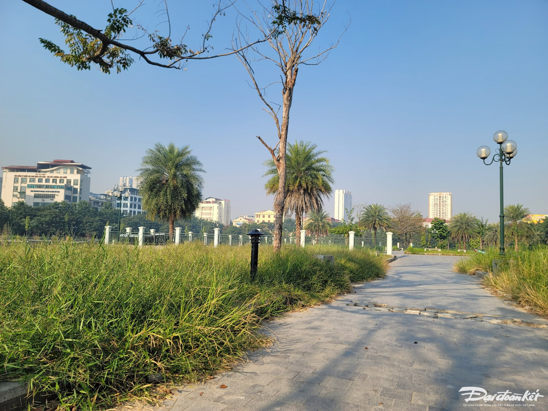 Hà Nội: Công viên hồ điều hoà ban đêm tối om, cỏ mọc um tùm, rác thải bẩn thỉu - Ảnh 6.