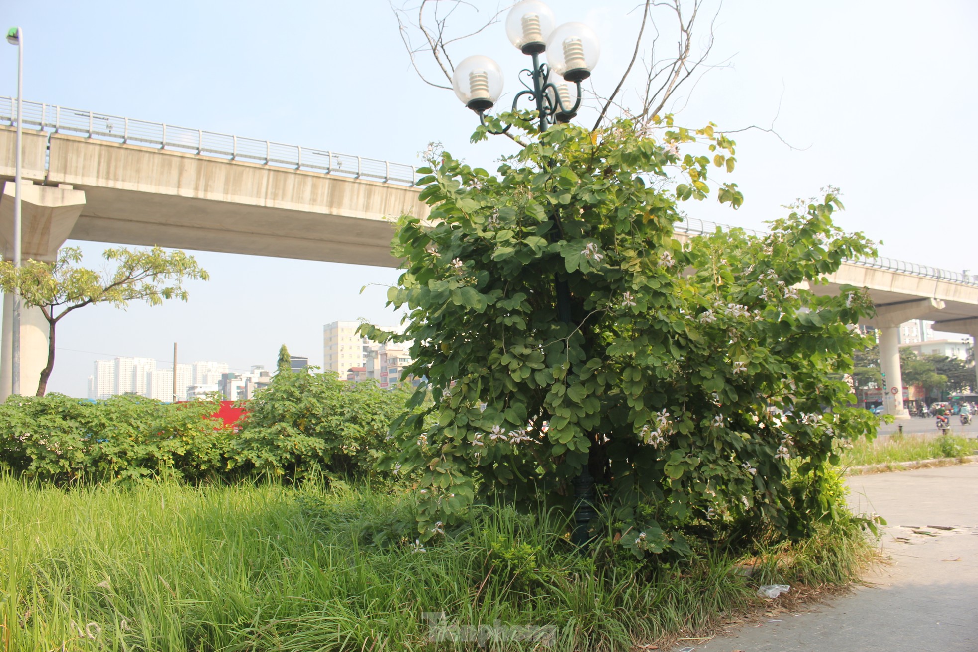 Nhếch nhác công viên trăm tỷ nằm giữa hai quận ở Hà Nội - Ảnh 15.