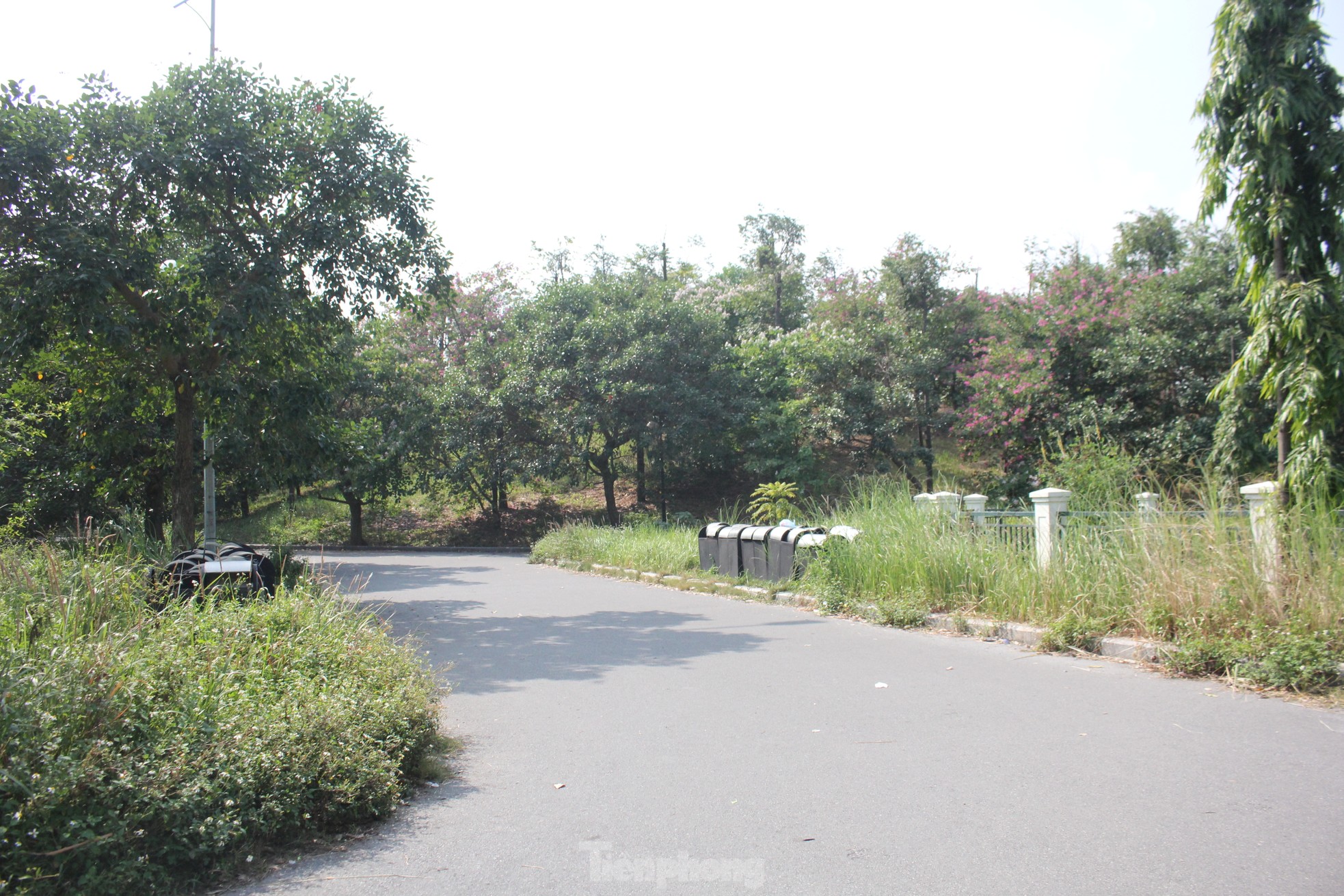 Nhếch nhác công viên trăm tỷ nằm giữa hai quận ở Hà Nội - Ảnh 1.