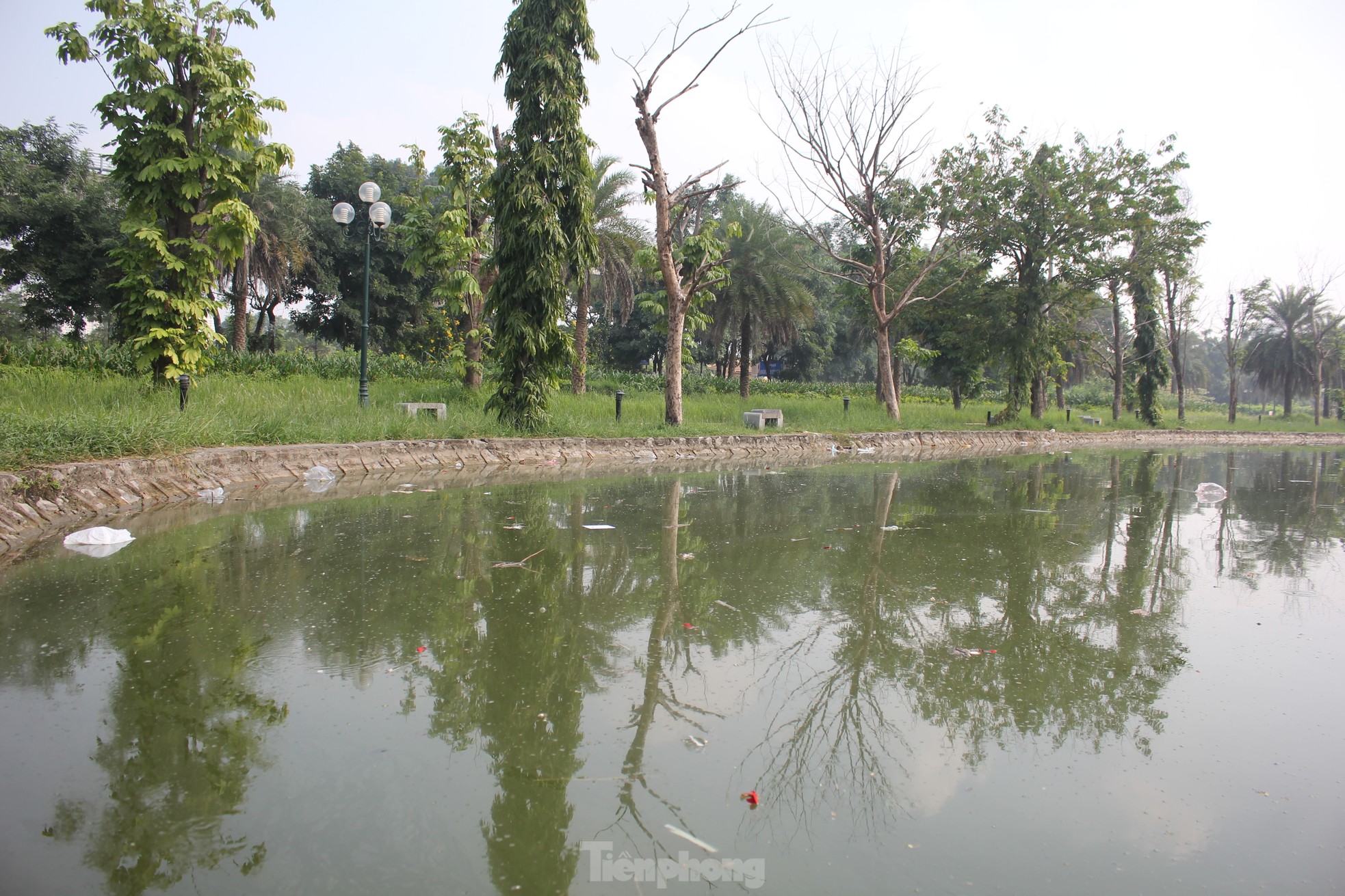 Nhếch nhác công viên trăm tỷ nằm giữa hai quận ở Hà Nội - Ảnh 5.